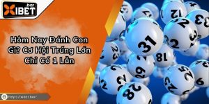 Hôm Nay Đánh Con Gì? Cơ Hội Trúng Lớn Chỉ Có 1 Lần