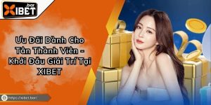 Ưu Đãi Dành Cho Tân Thành Viên - Khởi Đầu Giải Trí Tại XIBET