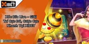 Xóc Đĩa Live - Giải Trí Cực Đã, Cược Cực Nhanh Tại XIBET