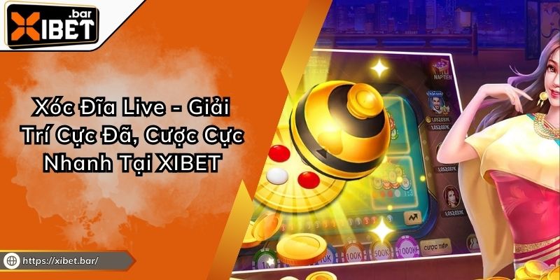 Xóc Đĩa Live - Giải Trí Cực Đã, Cược Cực Nhanh Tại XIBET Xóc Đĩa Live - Giải Trí Cực Đã, Cược Cực Nhanh Tại XIBET